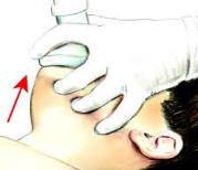 pocket_mask