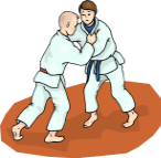 judo